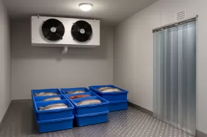 Meningkatkan Infrastruktur Cold Storage di Sentra Perikanan Nasional